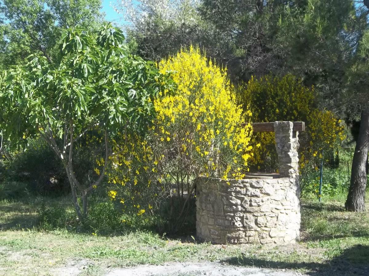 B&B Le Petit Frigouye Rochefort-du-Gard Εξωτερικό φωτογραφία