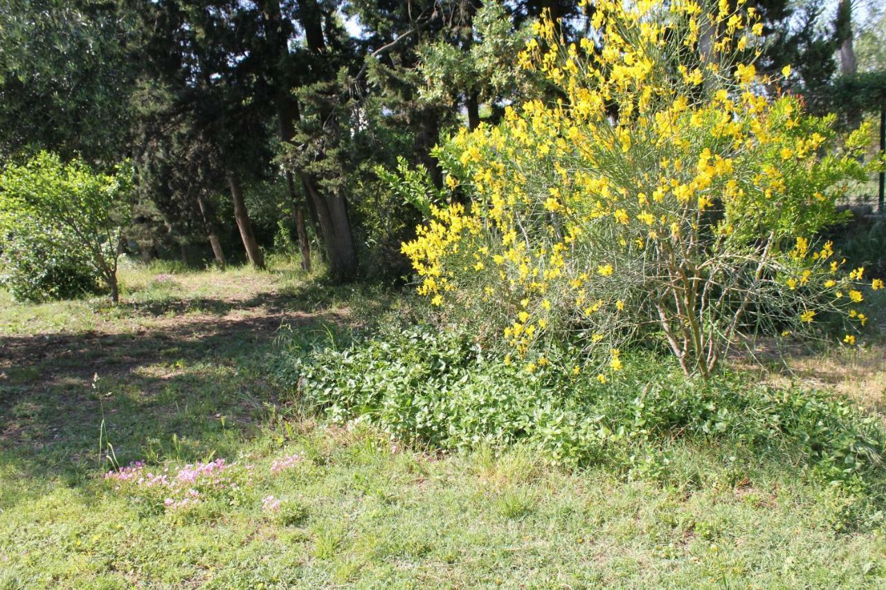 B&B Le Petit Frigouye Rochefort-du-Gard Εξωτερικό φωτογραφία